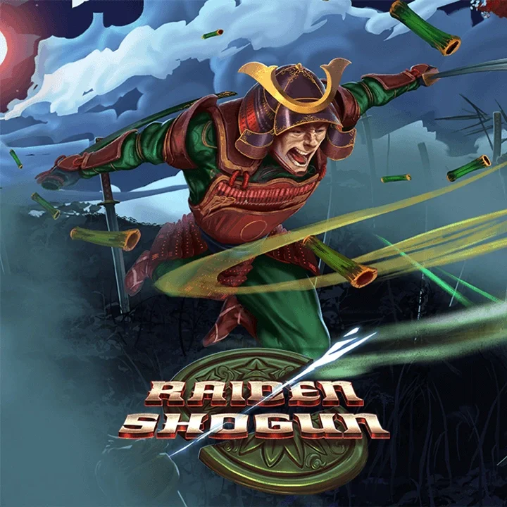 Raiden Shogun game