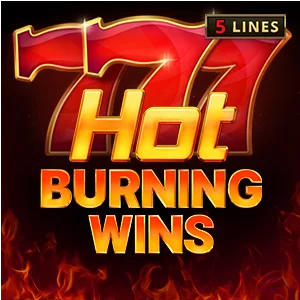 Hot Burning Wins game