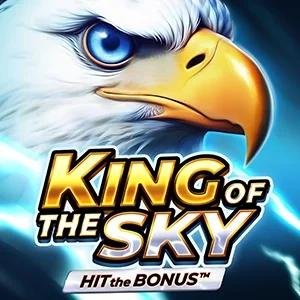 King of the Sky: Hit the Bonus game