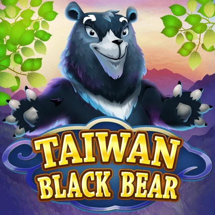 Taiwan Black Bear game