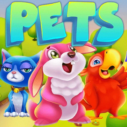 Pets game