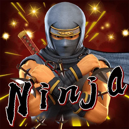 Ninja game