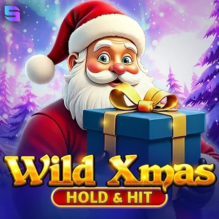 Wild Xmas -  Hold & Hit game