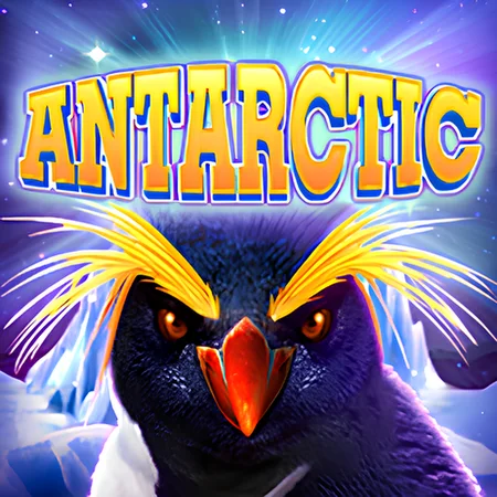 Antarctic game