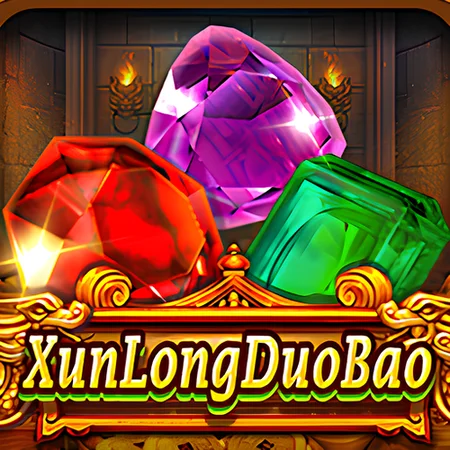 Xun Long Duo Bao game