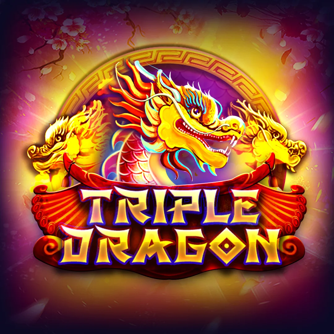 Triple Dragon game