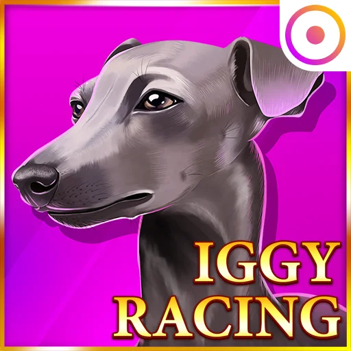 Iggy Racing game
